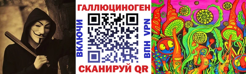 Купить  Подпорожье  Галлюциногенные грибы Psilocybe 